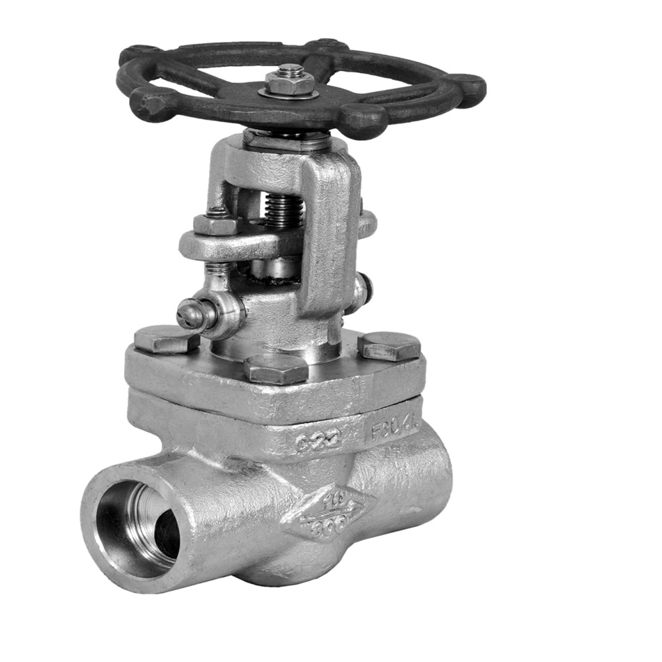 Forged Steel Valve