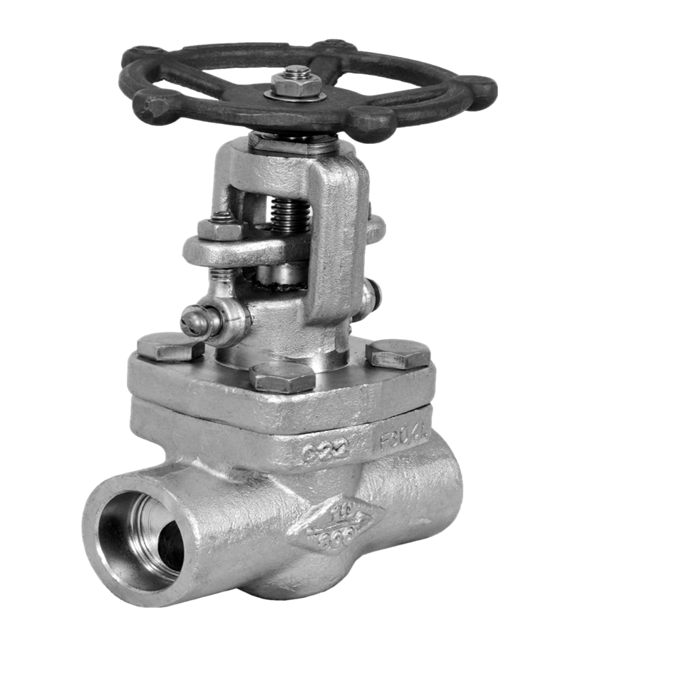 stainless steel globe valve-Photoroom